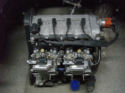 IMGP9140.JPG