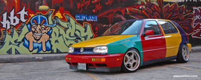 harlequin_800.jpg
