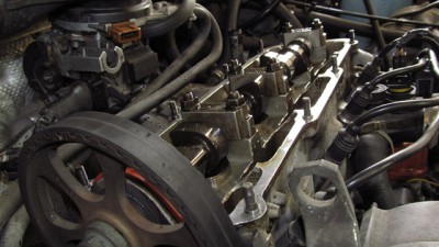 IMG_7293.jpg
