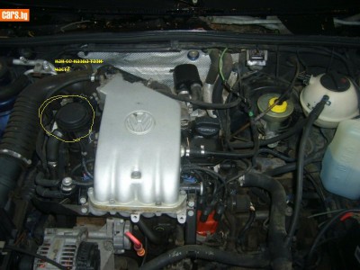 8198753o.jpg