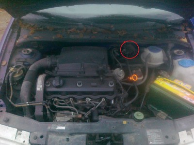 24112011467.jpg