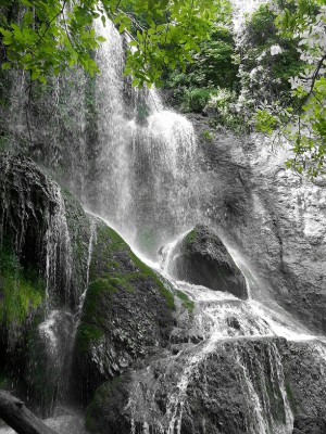 20130620_105918.jpg