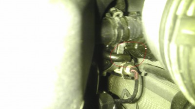 IMAG0102.jpg