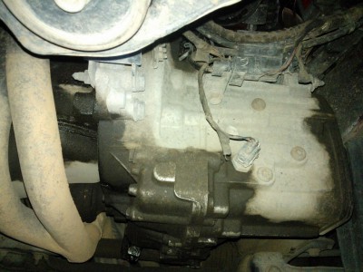 WP_001030.jpg
