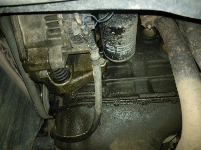 WP_001028.jpg