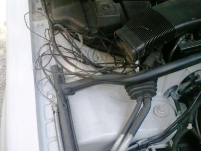 05072013897.jpg