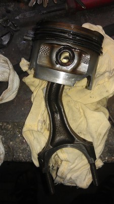 IMAG0098.jpg