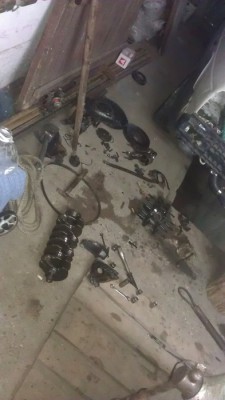 IMAG0113.jpg