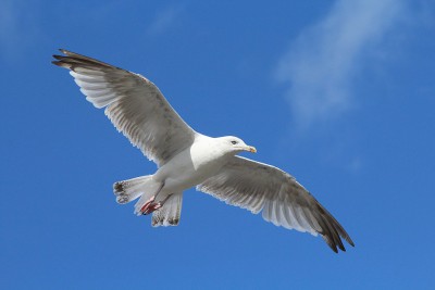 IMG_1991.jpg