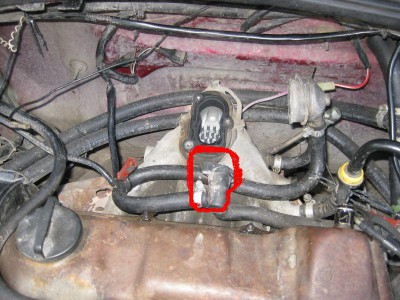 img4359l.jpg