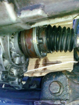 23082013462.jpg