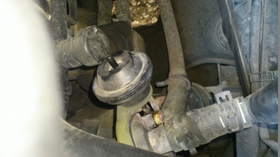 DSC_0043 (Copy) (2).JPG