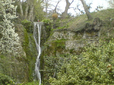 DSC00309.JPG
