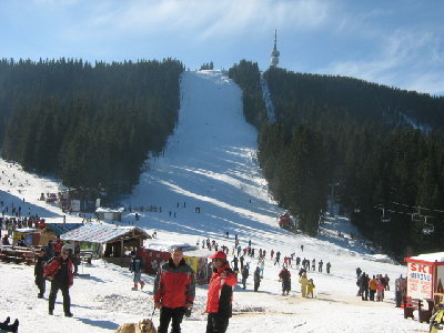 IMG_2669.jpg