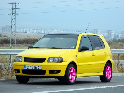 polo 3.jpg