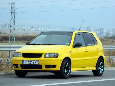 POLO 1.jpg
