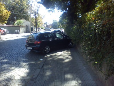DSC00677.jpg