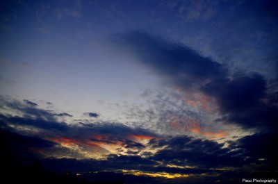 IMGP0136.JPG