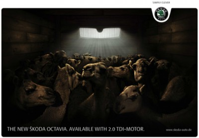 skoda_camels.jpg