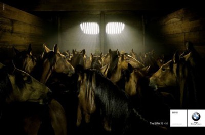 bmw_horses.jpg