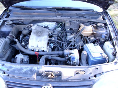 DSCI1055.JPG