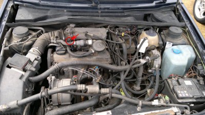 2013-06-08-011.jpg