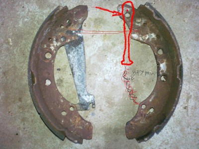 челюсти.JPG