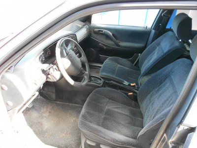 p7.jpg