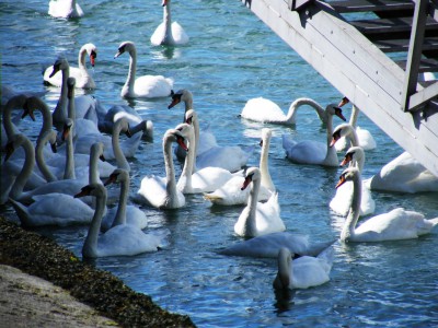 2008_07200044.JPG