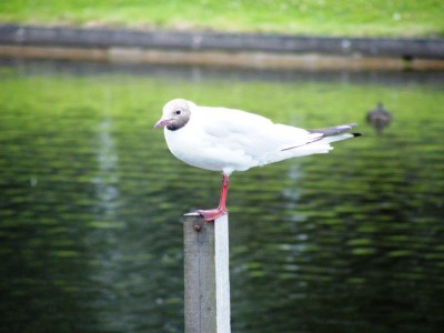 2008_07200084.JPG