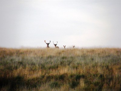 2008_09210046.JPG