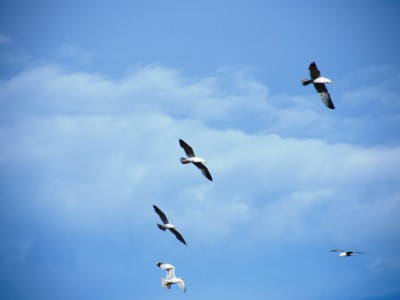 DSCF6707.JPG