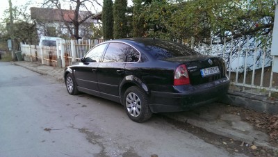 IMAG0460.jpg