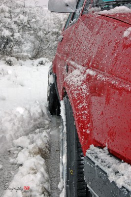 DSC_1147ghjkl.jpg
