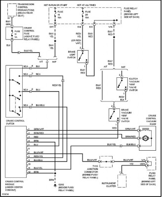 8097 CruiseCM.jpg