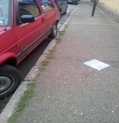 20130608_080117.jpg