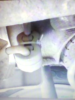 IMG0010A.jpg