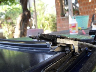 SDC10974.JPG