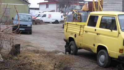 IMG_4502.JPG