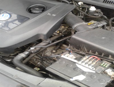 rsz_1rsz_1rsz_2014-01-05_133525.jpg