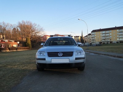 пасат 1.jpg