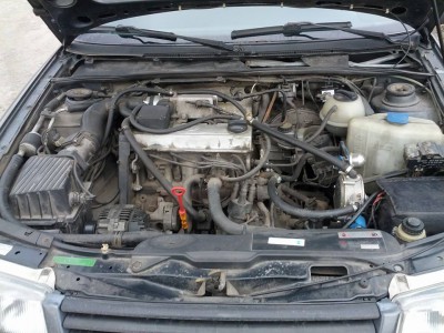 passat2.jpg