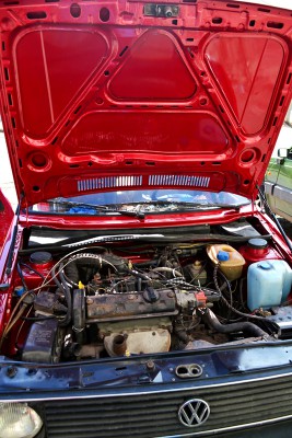 DSC_0737.jpg