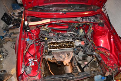 DSC_0773.jpg