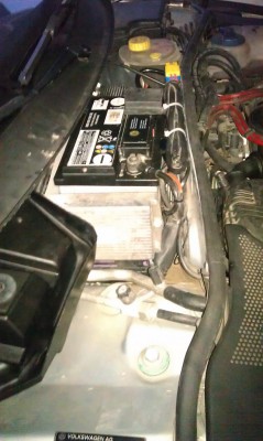 IMAG0495.jpg