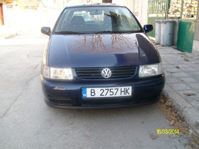 ALIM4912.JPG