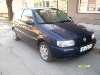ALIM4913.JPG