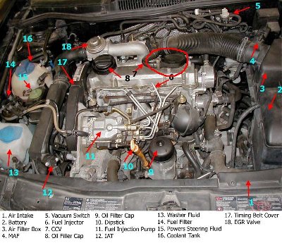 enginebay.jpg