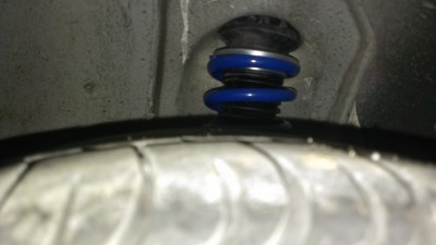 IMAG0355.jpg