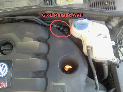 G71-passat-AVF.jpg